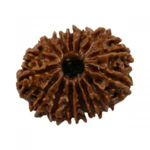 9 mukhi